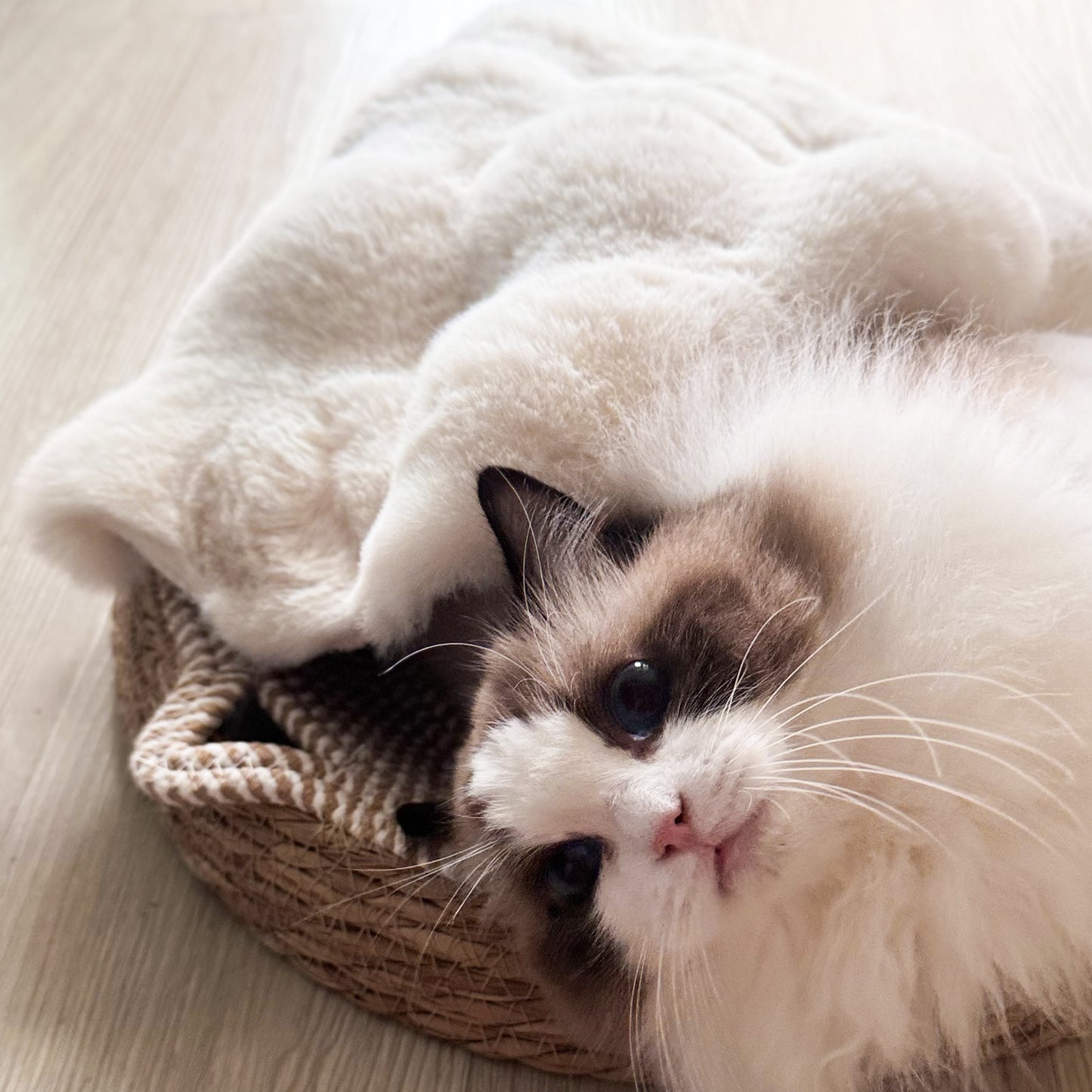 Luxury-style cat house plush round climbing bed sleeping pod, warm mat for cats and dogs, dog floor mat, dog bed pad